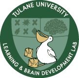 Learning and Brain Development Lab